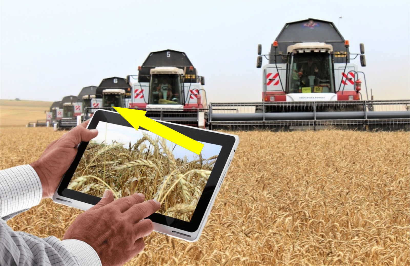 Цифровая революция в сельском хозяйстве